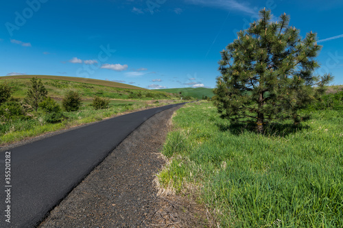 Chipman Palouse Trail photo