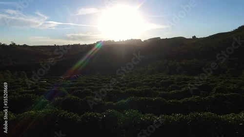 machine harvesting cafe end of day