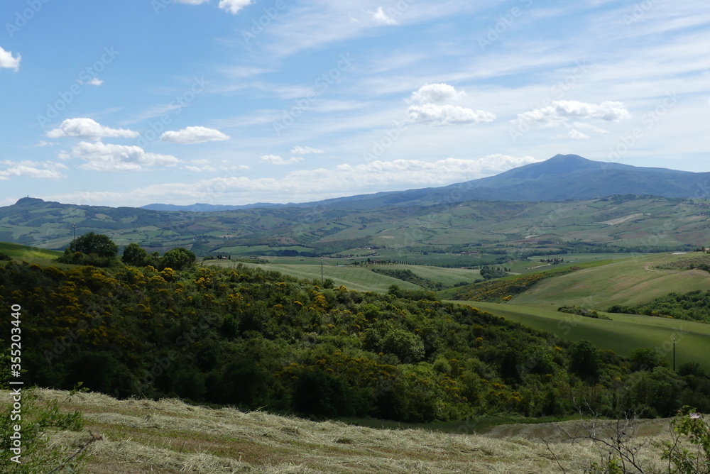 Val D'Orcia Panorama