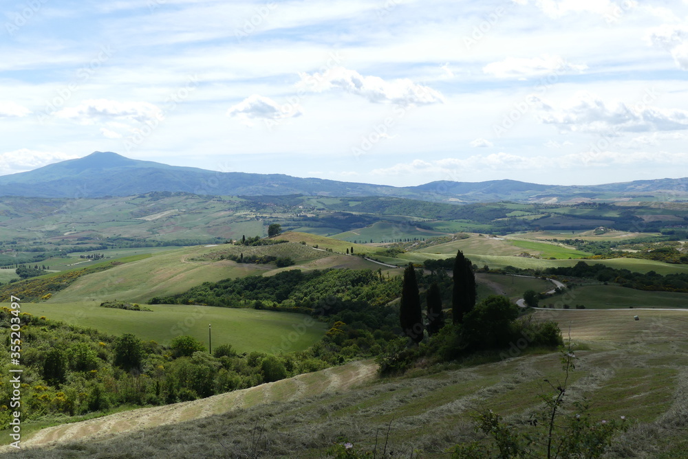 Obraz premium D'Orcia Valley, Tuscany