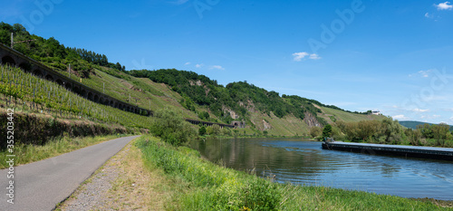 With the bike on the cycle path through the countryside along the river Moselle in Rhineland-Palatinate from Trier to Koblenz in summer