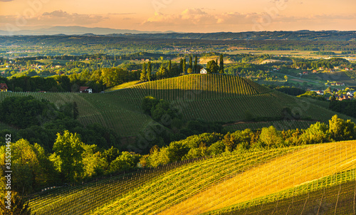 Sunset over South Styria vineyard landscape in Steiermark  Austria.