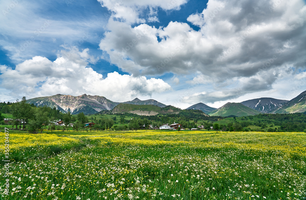 Yellow flowers, trees, clouds and road. Meadow landscape panorama was taken in Savsat / Şavşat, Artvin, Black Sea / Karadeniz region of Turkey Yellow flowers, trees, clouds and road. Meadow landscape panorama was taken in Savsat / Şavşat, Artvin, Black Sea / Karadeniz region of Turkey