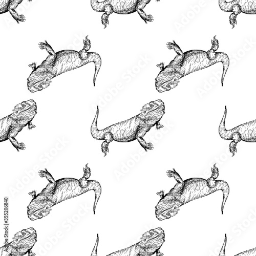 Seamless pattern of hand drawn sketch style bearded dragons isolated on white background. Vector illustration.