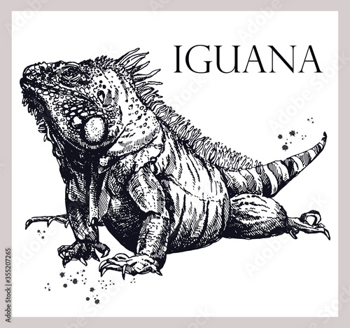 Hand drawn sketch style iguana lizard isolated on white background. Vector illustration.