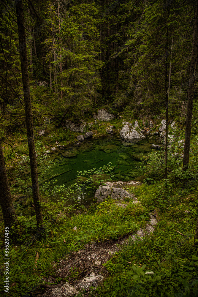 Obraz premium Kleiner See im Wald