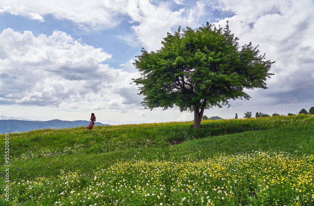 Woman in traditional dress posing between yellow flowers under a tree in a meadow, white clouds passing above. Landscape photo was taken in Savsat / Şavşat, Artvin, Turkey Woman in traditional dress posing between yellow flowers under a tree in a meadow, white clouds passing above. Landscape photo was taken in Savsat / Şavşat, Artvin, Turkey