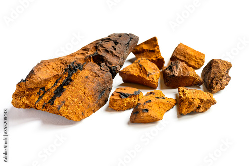 chaga mushroom. large cleaned piece and small pieces natural wild birch fungus chaga isolated on white background photo