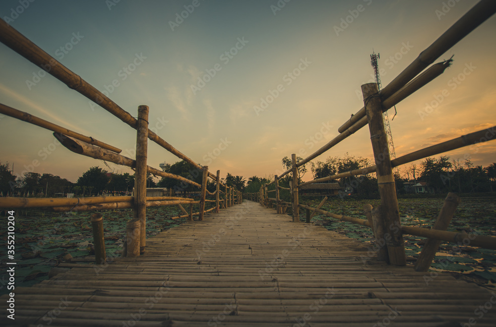 wooden bridge in the morning