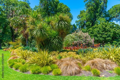 Fototapeta Fitzroy gardens in Melbourne, Australia