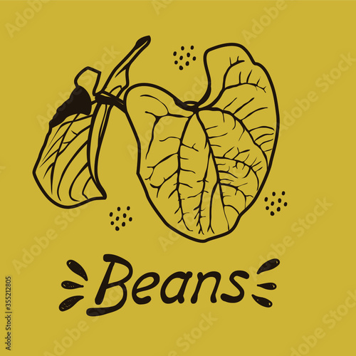 Vector contour drawing of a bean bush handmade on a pastel background. Bean leaves line, sketch. Registration of cards, menus, banners, printing on fabric, covers