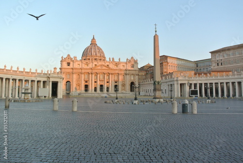 Flying seagull over the Vatican City in the morning. 