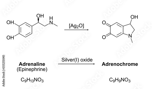 Synthesis of adrenochrome, chemical equation. Oxidation of adrenaline (epinephrine) by silver(I) oxide. Molecules, skeletal formulas and structures. A component of several conspiracy theories. Vector.