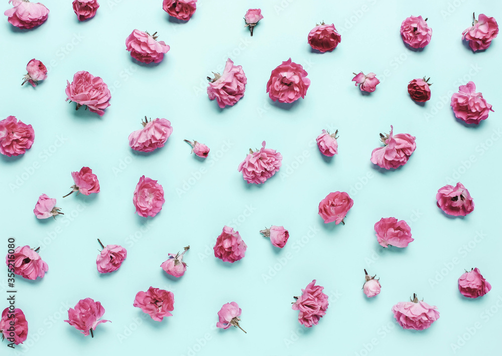 composition of coral, pink flowers, roses on a blue background. composition of coral, pink flowers, roses on a blue background.