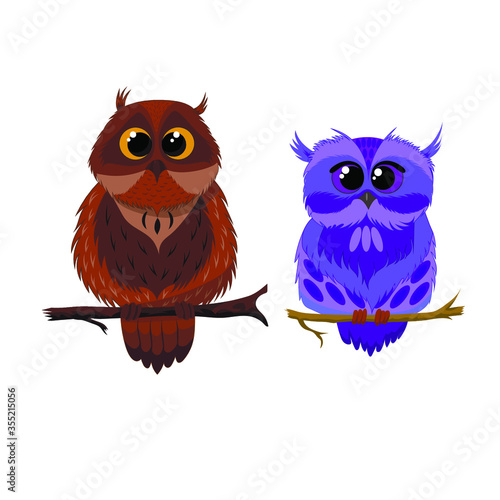two owls sitting on a branch