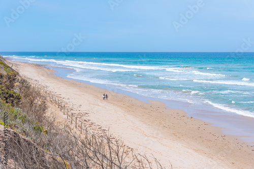 Lorne Queenscliff coastal reserve at Anglesea in Australia photo