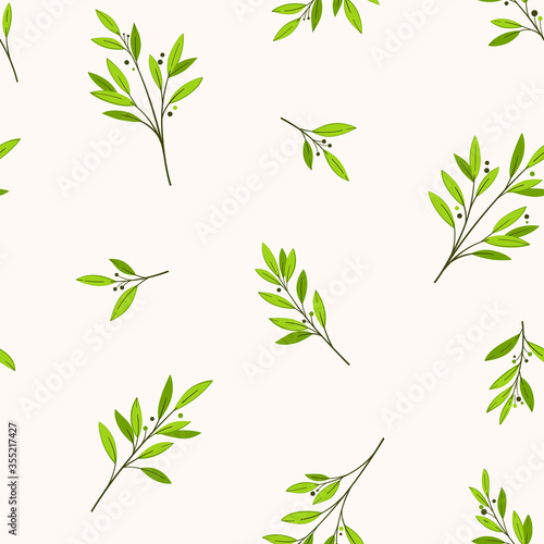Trendy pattern with branch of a Bay tree Vector illustration.