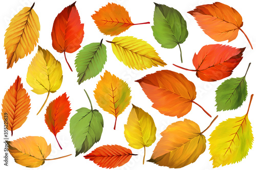 Autumn leaves clip art set on white background