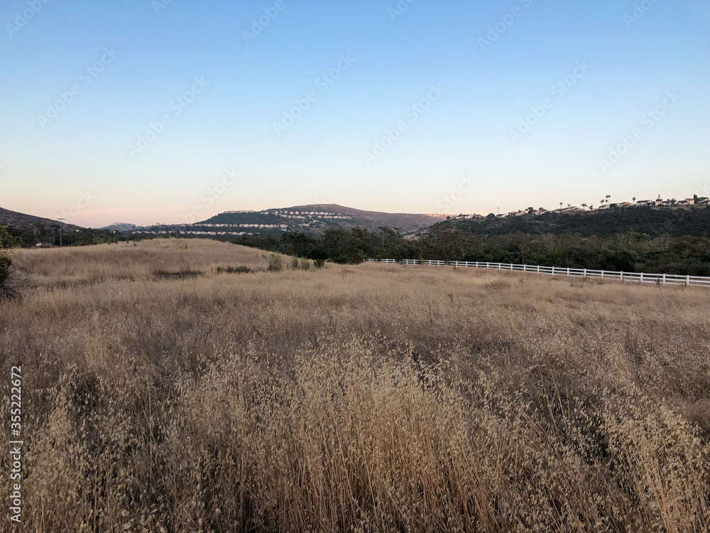 Dry grass and wheat field meadow during sunset in the valley. Scenic view of field against sky 