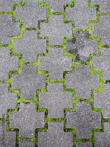 Moss growing and defining the sidewalk pattern photo