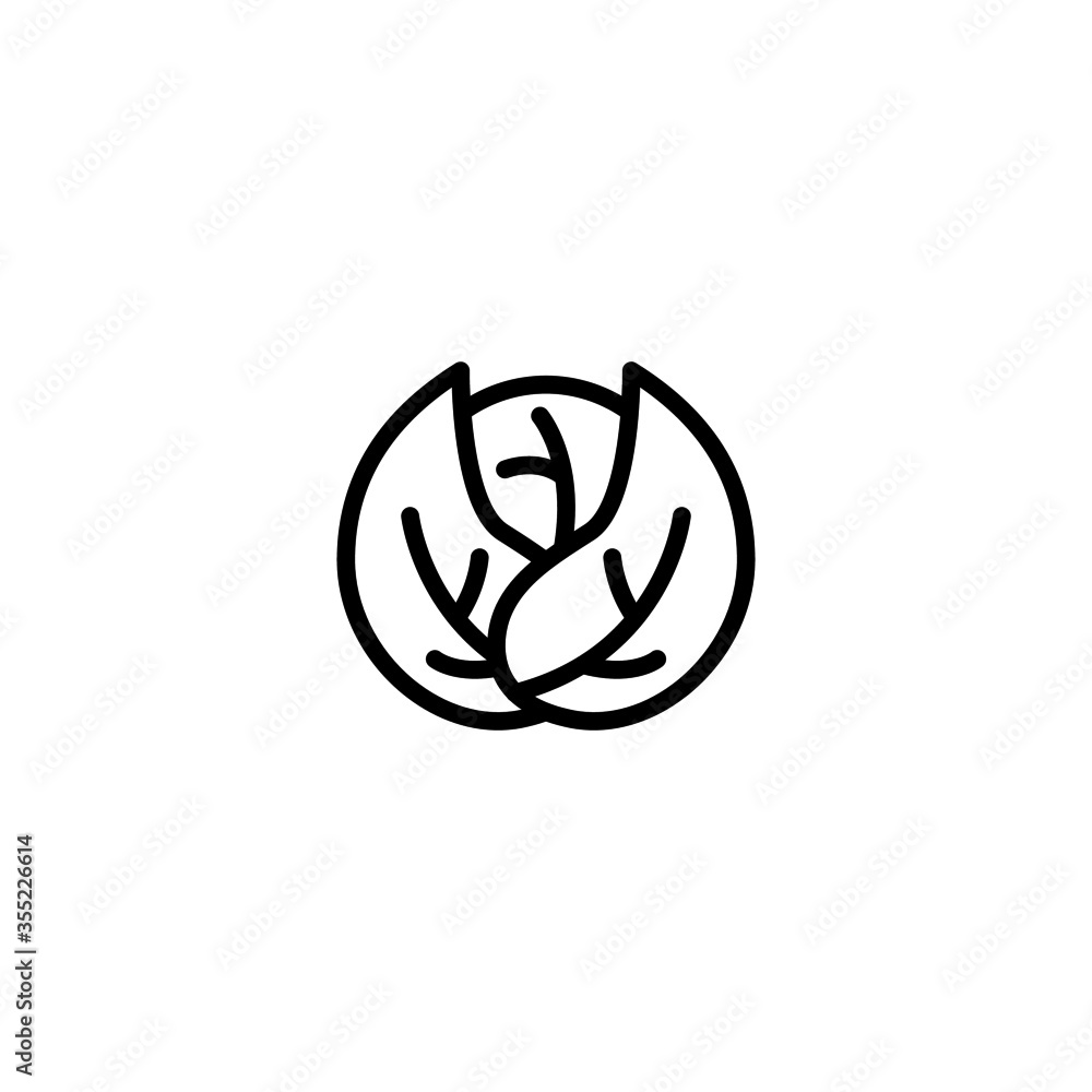 Cabbage vector icon in linear, outline icon isolated on white background Cabbage vector icon in linear, outline icon isolated on white background