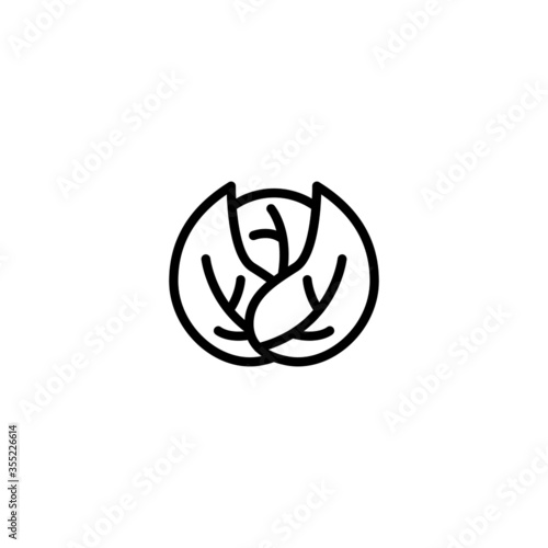 Cabbage vector icon in linear, outline icon isolated on white background