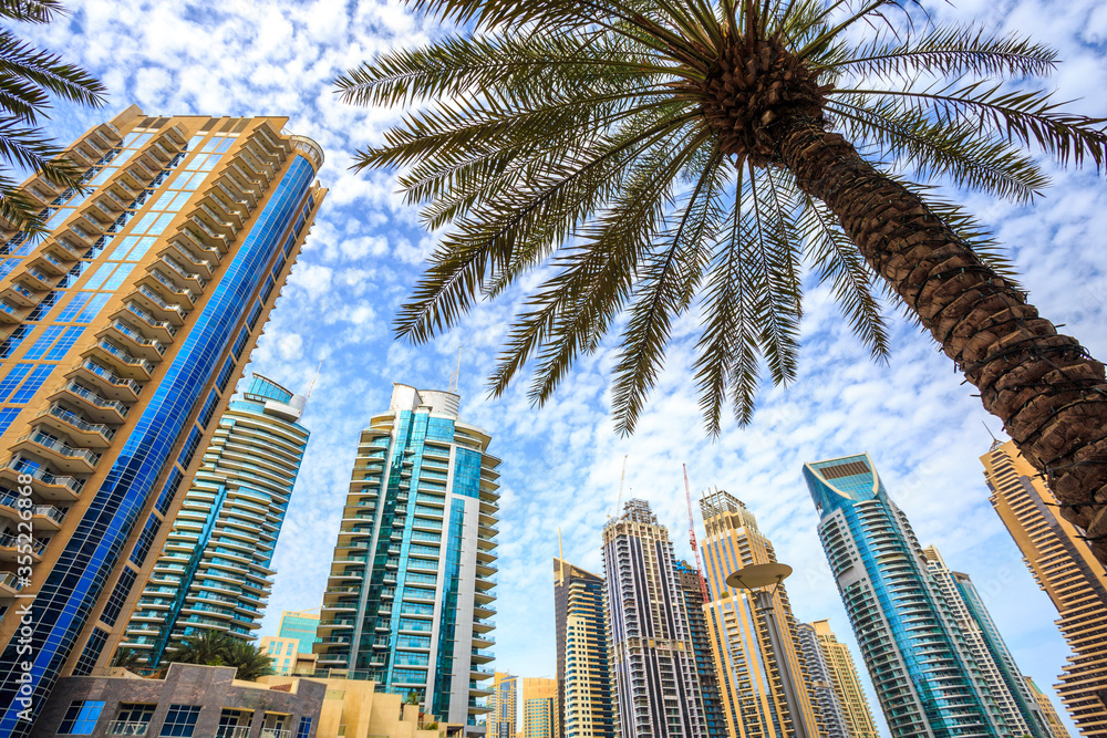 Fototapeta premium Skyscrapers in a tropical city with palm tree in the foreground. Luxury vacation tourist destination and real estate investment and development opportunity. Dubai Marina UAE cityscape.