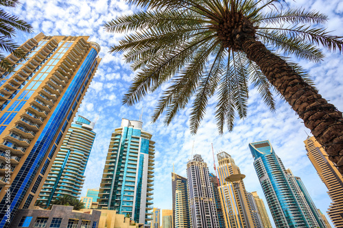 Skyscrapers in a tropical city with palm tree in the foreground. Luxury vacation tourist destination and real estate investment and development opportunity. Dubai Marina UAE cityscape.