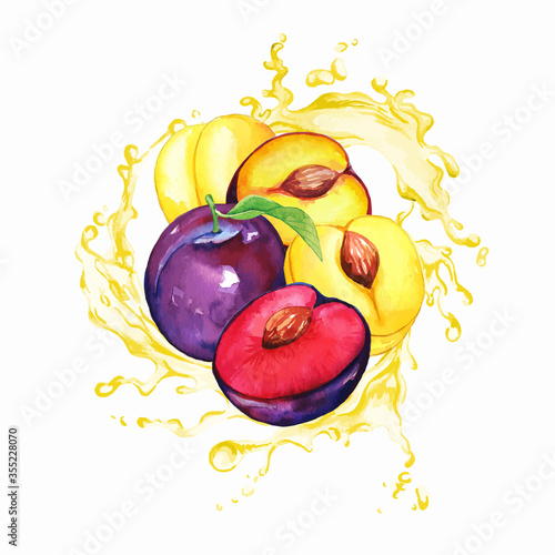 Garden purple and yellow plums in the splash of yellow juice