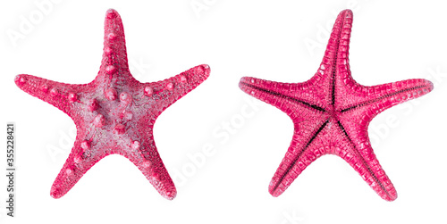 Starfish isolated on white background. 