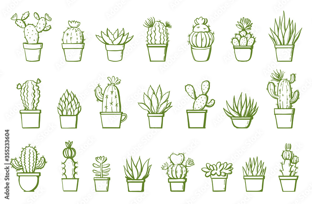 set of hand drawn cactus on white. succulents in pots vector illustration set of hand drawn cactus on white. succulents in pots vector illustration