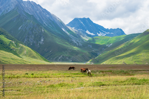 Horses on green pasture and mountain landscape - Truso Valley and Gorge landscape trekking / hiking route, in Kazbegi, Georgia. Truso valley is a scenic trekking route close to North Ossetia.