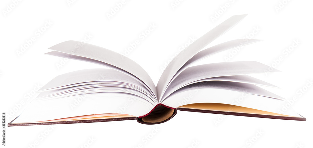 Isolated open book . Book pages Isolated open book . Book pages