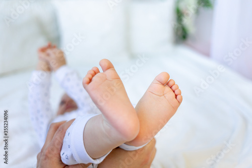 newborn baby's legs, insulated legs, wrapped legs, space for text
