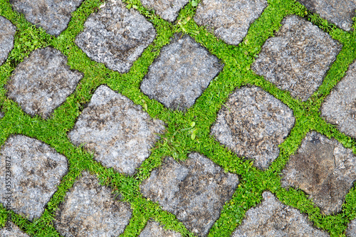 Cobblestone street (detail) made of grey Belgian blocks (setts). Young green grass in the joints between blocks. 