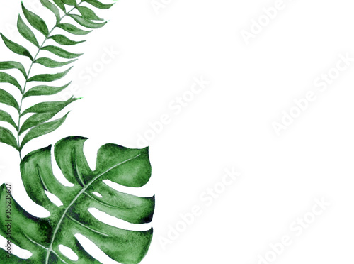 Watercolor tropical green leaves on white background.