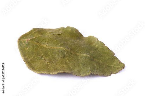 Kaffir lime leaves in white natural spice
