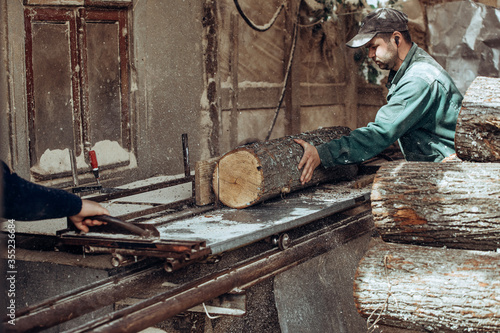 Carpenter cuts wooden board on circular saw.