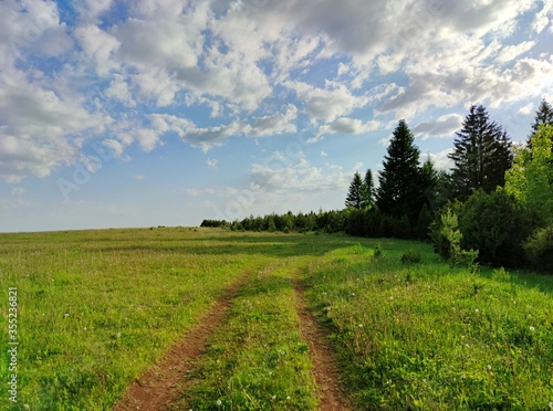 country road on a green mountainside near a forest stand against a blue sky with clouds