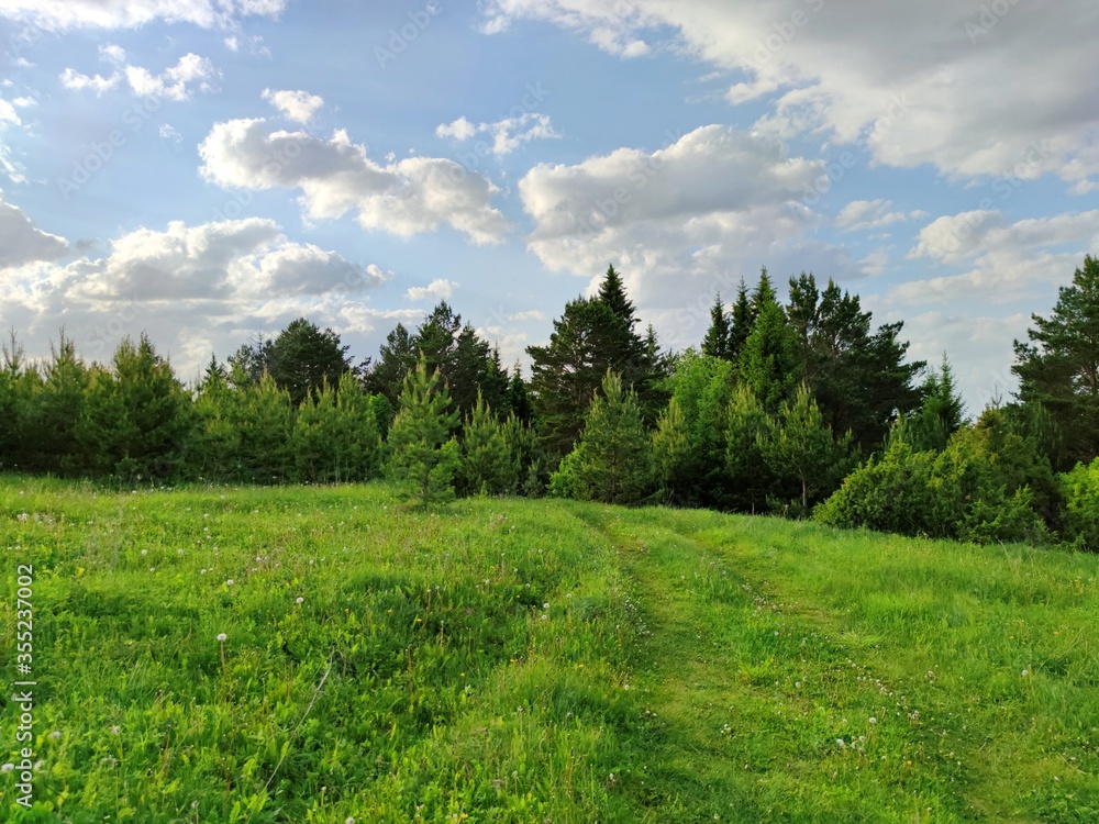 green meadow on top of a mountain on a background of trees on a sunny day on a background of blue sky with clouds