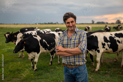 Fotomurale A mature male farmer is smiling in camera proud with his work on a countryside farm with ecologically grown cows used for biological milk products industry