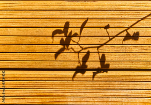 Wood wall in the shadows