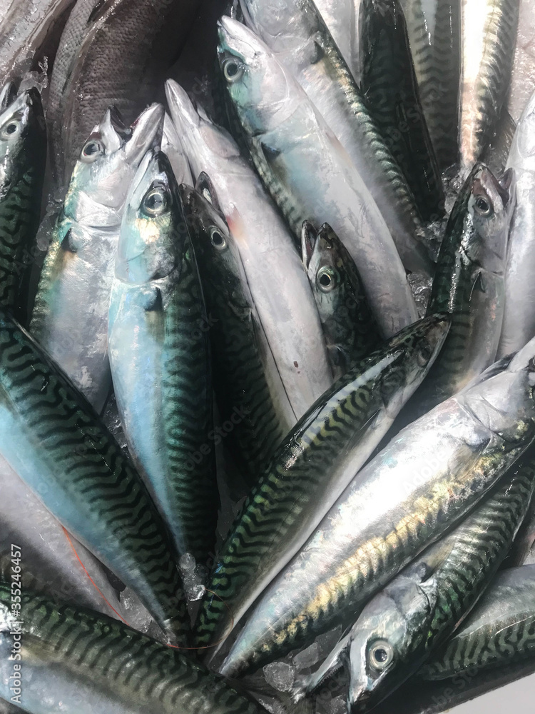 Obraz premium Mackerels for sale in fish market