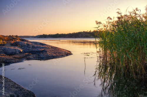 Fototapeta Naklejka Na Ścianę i Meble -  Rocks and reed by the shore at sunset in Stockholm