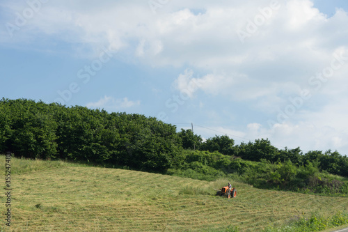 Cutting grass for hay