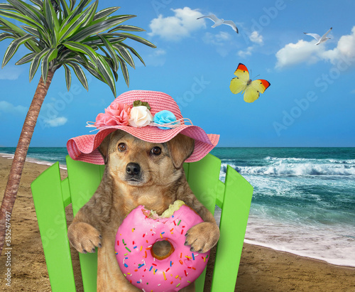 The beige dog in straw hat is sitting on a beach chair and eating a pink donut under a palm tree on the sea shore. © iridi66