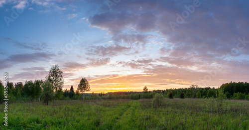 Sunset panoramic landscape of summer meadow under blue sky with clouds