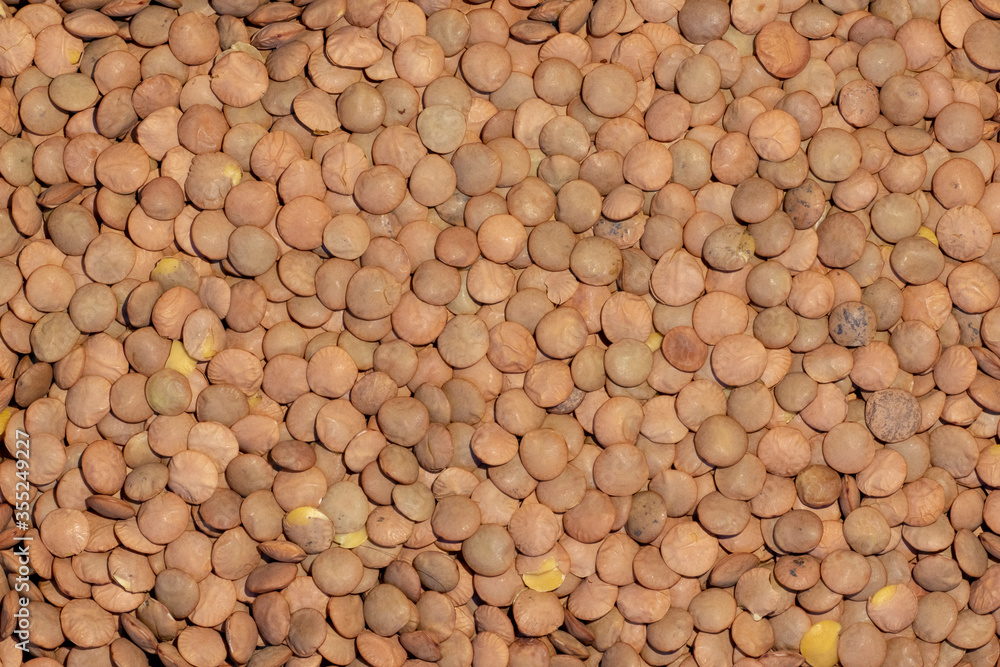 Fototapeta premium Lentils. Food background. Background texture of grains lentils. Top view on lentil grains. Close-up, horizontal, top view. The concept of a healthy diet and agriculture.
