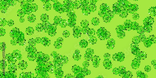 Light Green, Yellow vector background with christmas snowflakes.