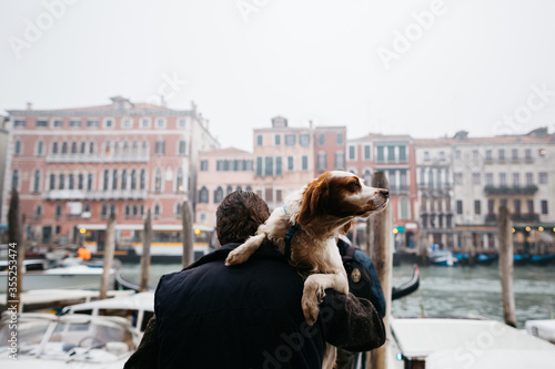 The dog is carried in his arms in Europe. Venice, Italy. 